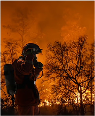 FENZ Fire Incident Volumes