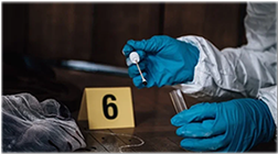NZ Police forensic services